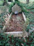 image of grave number 377263